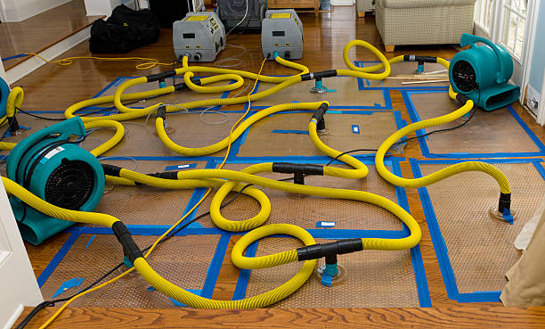 Professional Crawl Space Water Removal technician working in Oberlin, LA